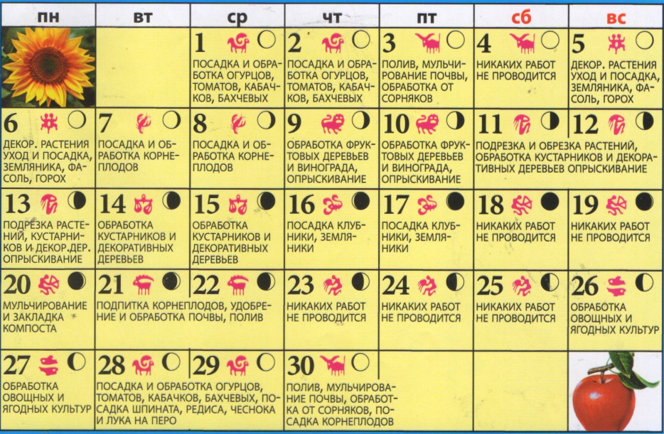 Календарь посадок земляники. Лунный календарь. Календарь посадок. Благоприятные дни для посадки овощей. Посевной календарь на ноябрь.